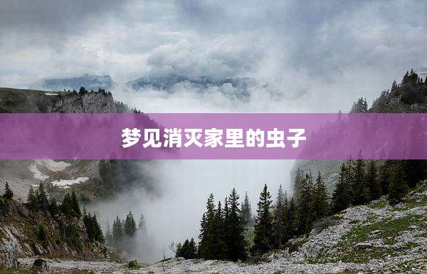 梦见消灭家里的虫子