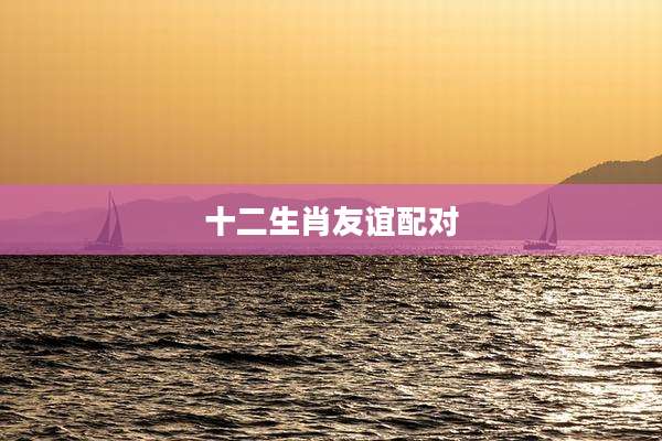 十二生肖友谊配对