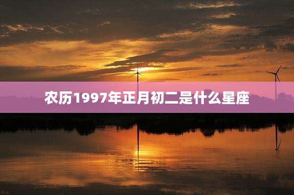 农历1997年正月初二是什么星座
