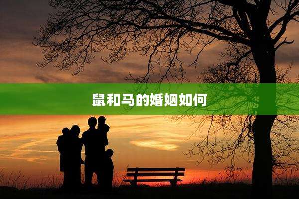 鼠和马的婚姻如何