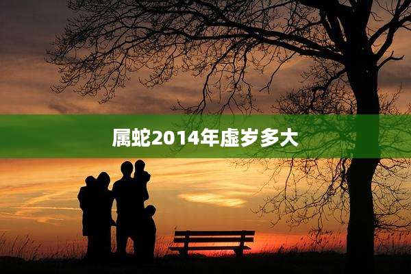属蛇2014年虚岁多大