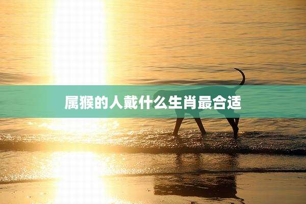 属猴的人戴什么生肖最合适