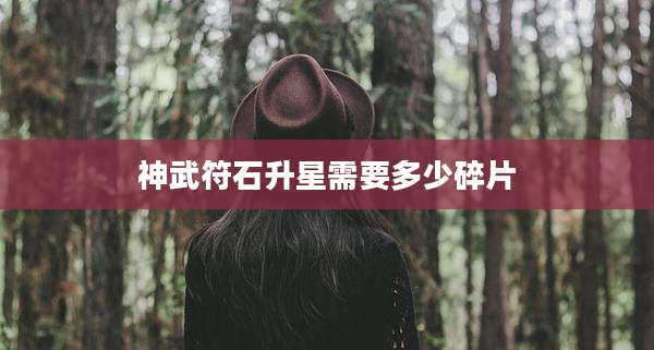 神武符石升星需要多少碎片