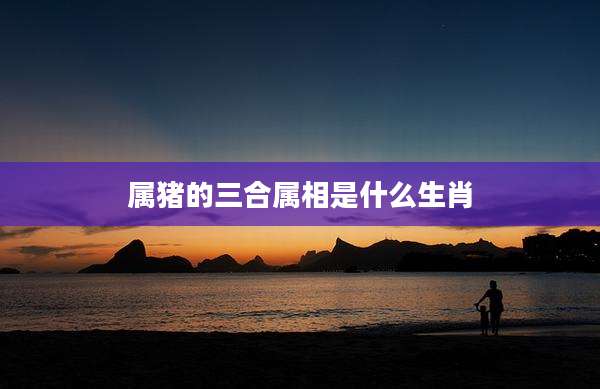 属猪的三合属相是什么生肖