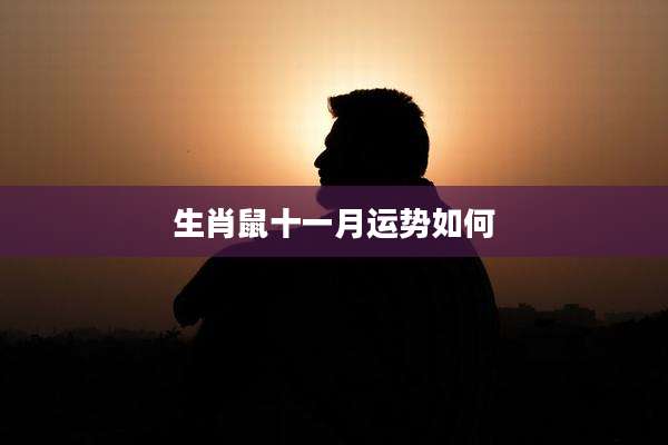 生肖鼠十一月运势如何