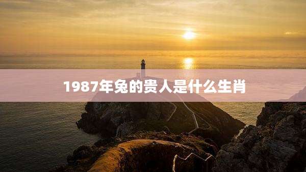 1987年兔的贵人是什么生肖