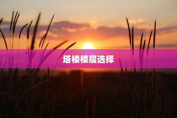 塔楼楼层选择