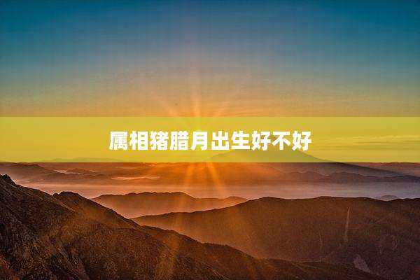 属相猪腊月出生好不好
