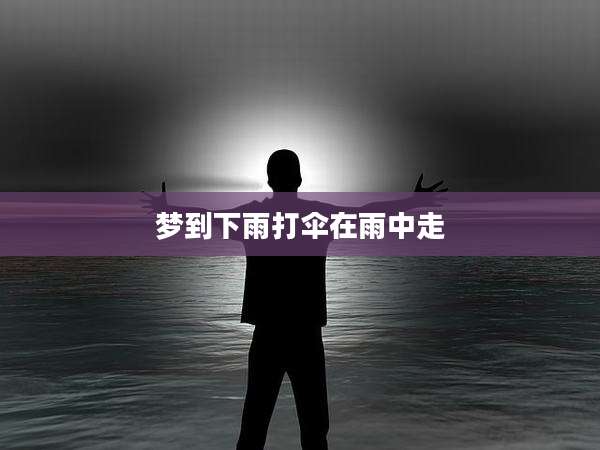 梦到下雨打伞在雨中走