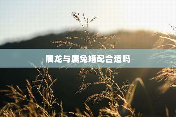 属龙与属兔婚配合适吗