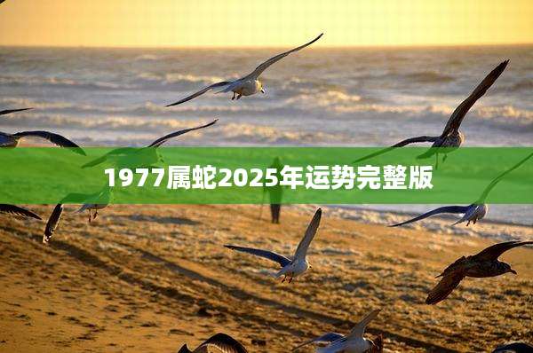 1977属蛇2025年运势完整版