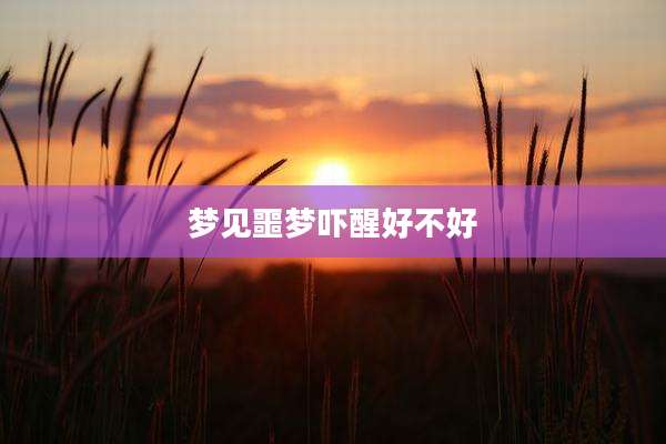 梦见噩梦吓醒好不好