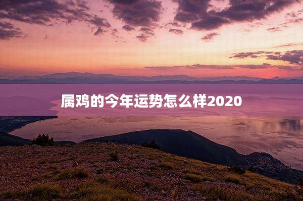 属鸡的今年运势怎么样2020