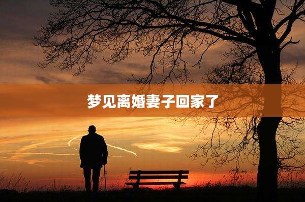 梦见离婚妻子回家了
