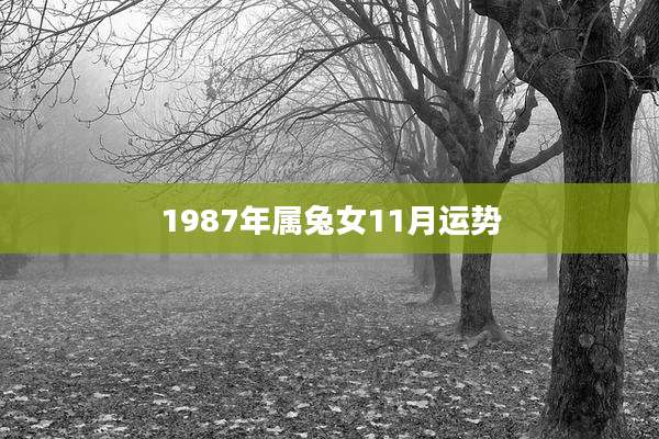 1987年属兔女11月运势