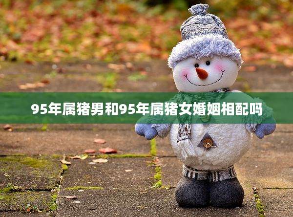 95年属猪男和95年属猪女婚姻相配吗