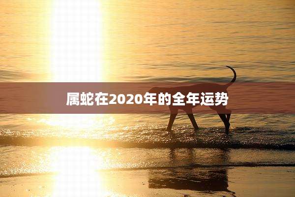 属蛇在2020年的全年运势