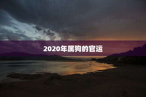 2020年属狗的官运