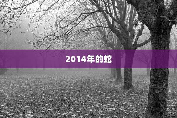 2014年的蛇