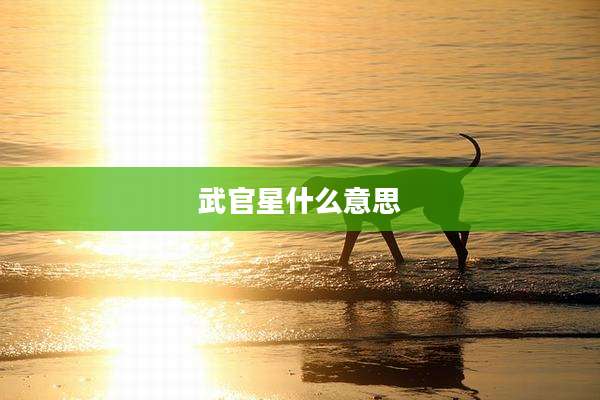 武官星什么意思