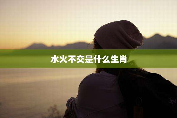 水火不交是什么生肖