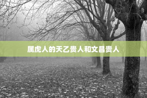 属虎人的天乙贵人和文昌贵人