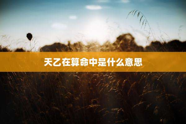 天乙在算命中是什么意思