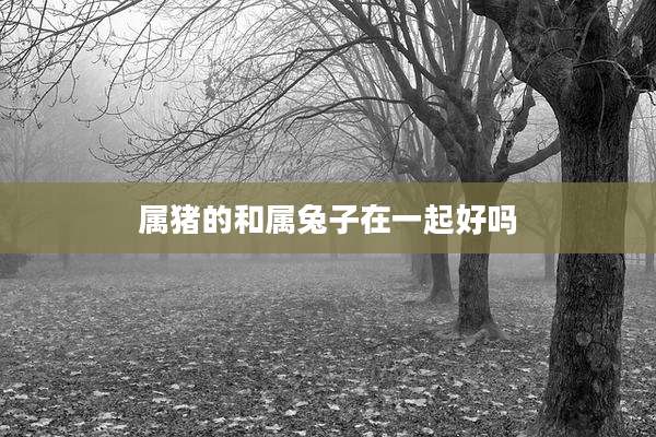 属猪的和属兔子在一起好吗