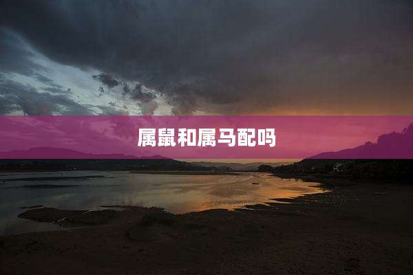 属鼠和属马配吗