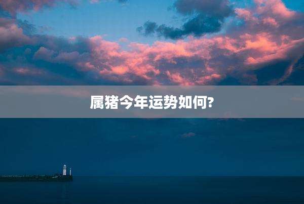 属猪今年运势如何?
