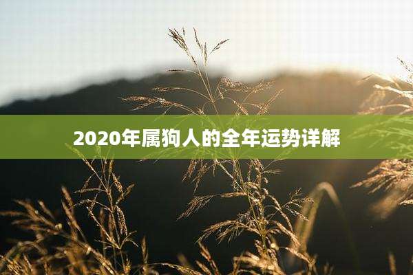 2020年属狗人的全年运势详解