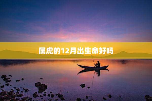 属虎的12月出生命好吗