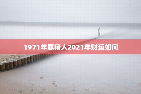1971年属猪人2021年财运如何