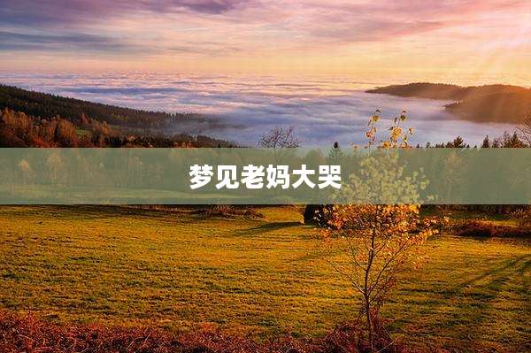 梦见老妈大哭