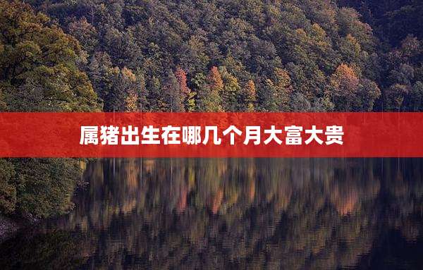 属猪出生在哪几个月大富大贵