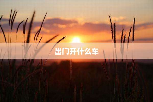 出门开什么车