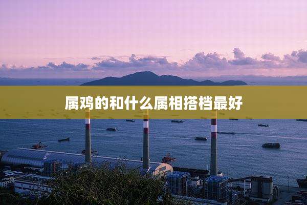 属鸡的和什么属相搭档最好