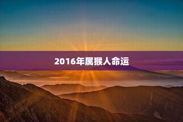 2016年属猴人命运