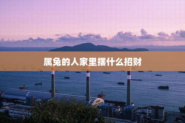 属兔的人家里摆什么招财