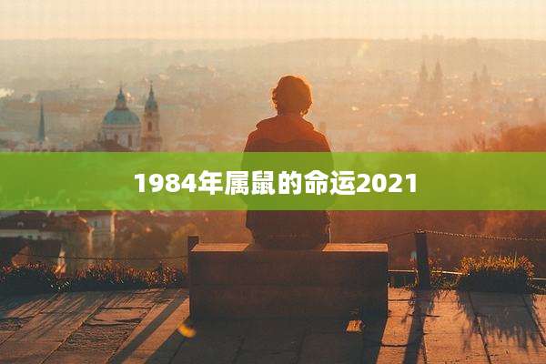 1984年属鼠的命运2021