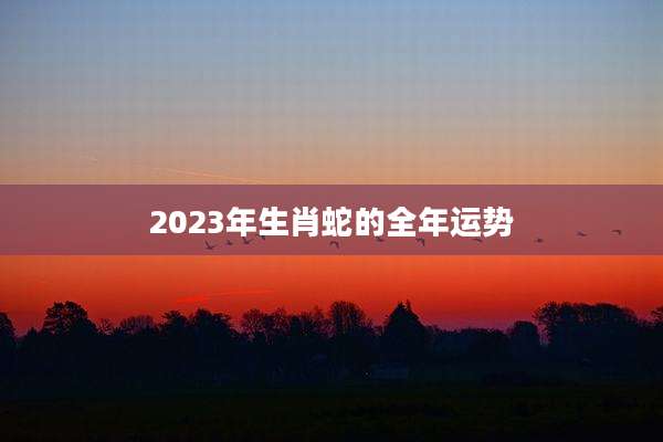 2023年生肖蛇的全年运势