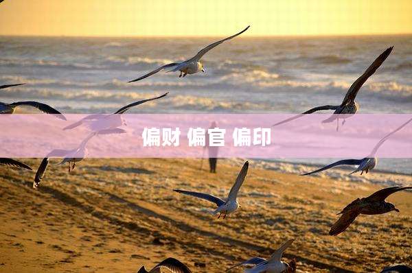 偏财 偏官 偏印