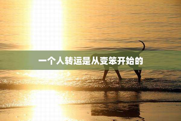一个人转运是从变笨开始的