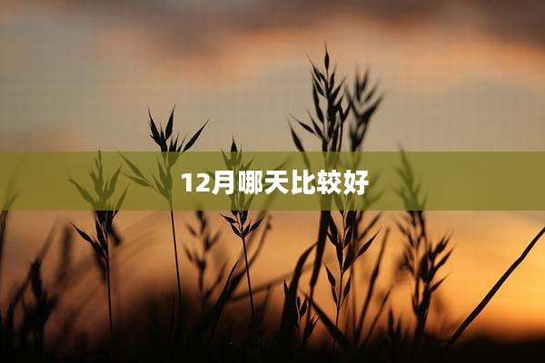 12月哪天比较好