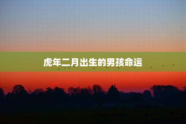 虎年二月出生的男孩命运