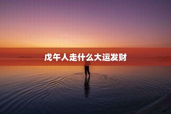 戊午人走什么大运发财