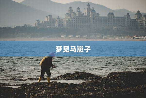 梦见马崽子