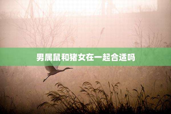男属鼠和猪女在一起合适吗