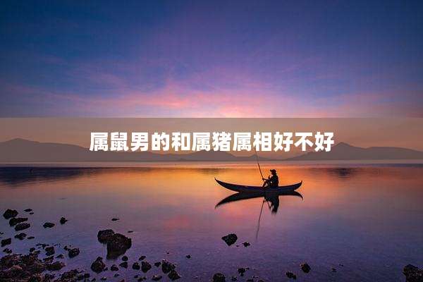 属鼠男的和属猪属相好不好