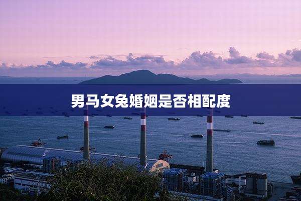 男马女兔婚姻是否相配度
